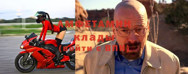 мет Алексин