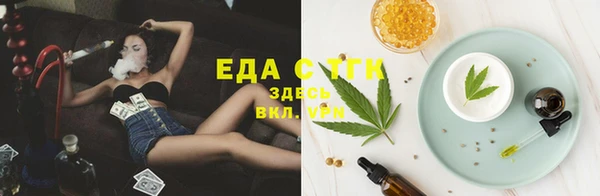 мет Алексин