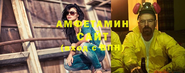 мет Алексин