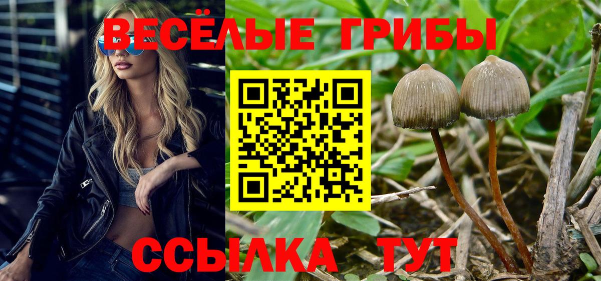 Галлюциногенные грибы GOLDEN TEACHER Салават