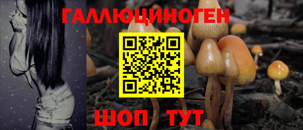 Салават  Псилоцибиновые грибы мухоморы  Вход с VPN 